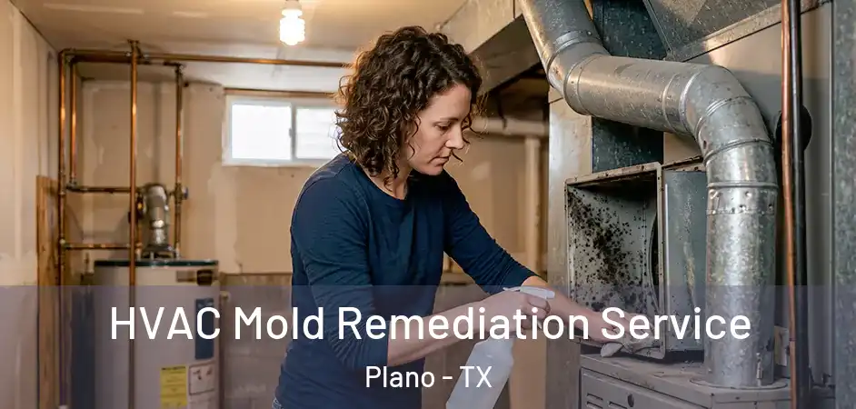  HVAC Mold Remediation Service Plano - TX