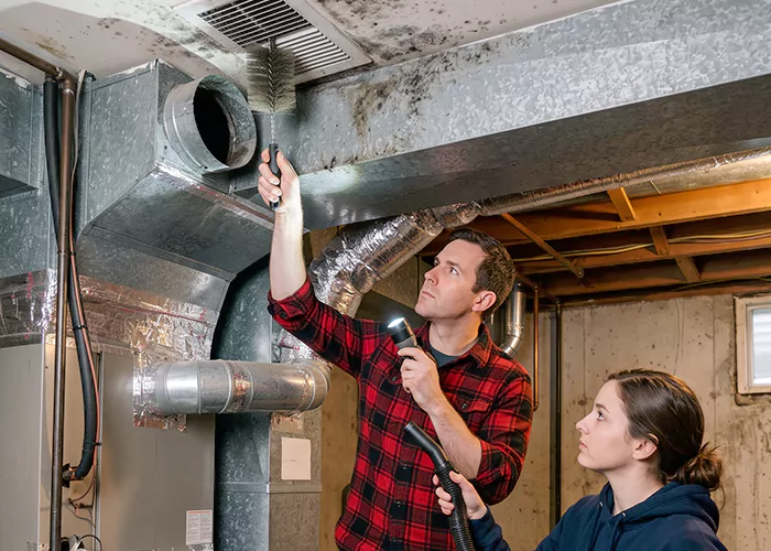Premier HVAC Mold Remediation Company in Plano